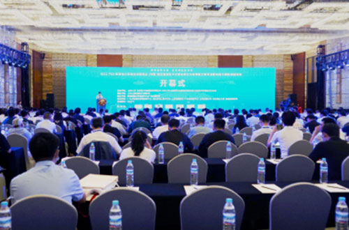 首個IEEE PES低壓直流技術組織成立 董明珠任主席